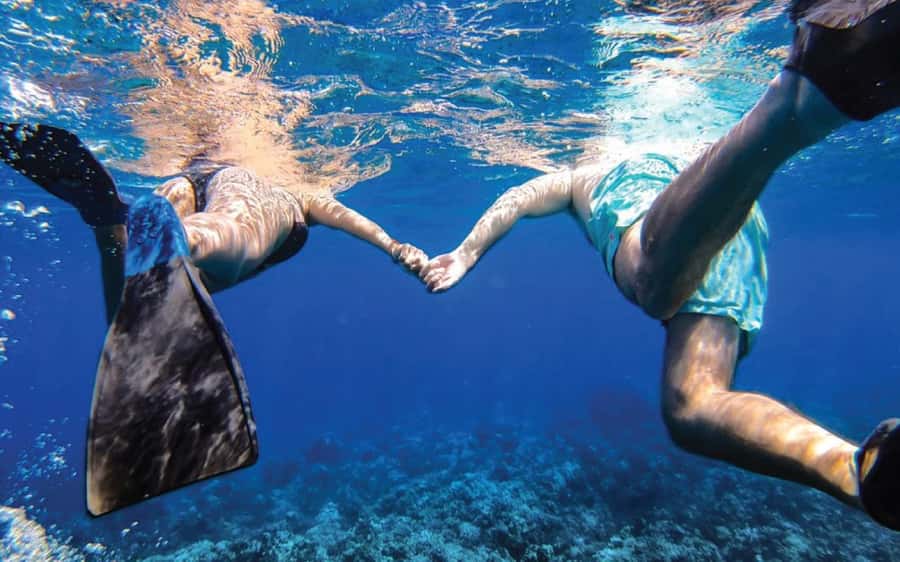 Maui: Semi-Private Eco-Raft Lanai Snorkel & Dolphin Tour - Who will enjoy this raft most