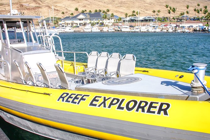 Maui Snorkel Adventure: Molokini Crater and Turtle Cove - What to bring and how to prepare