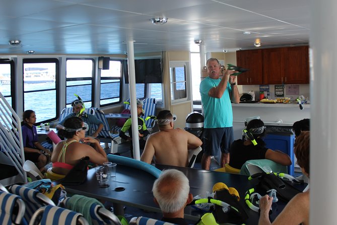 Maui Snorkeling Adventure From Ma'alaea Harbor to Molokini - Whale watching can change the whole morning