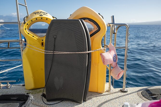 Maui Snorkeling Adventure to Molokini and Turtle Town - How the price compares with the experience
