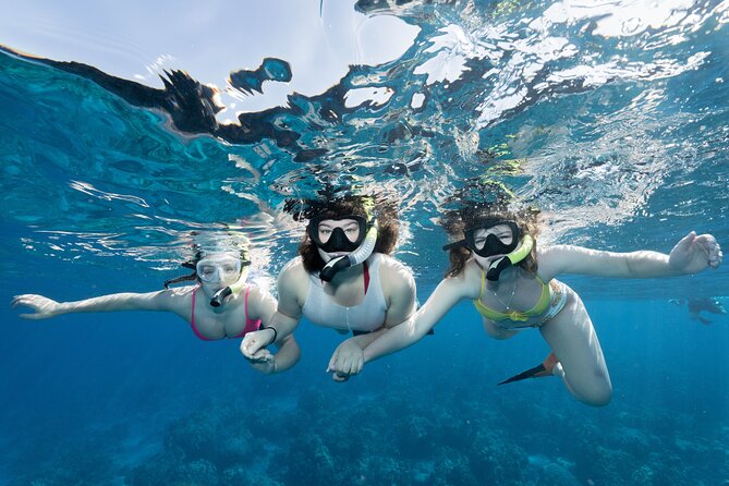 Maui Snorkeling Boat Tour to Turtle Town Aboard Quicksilver - Key points before you book