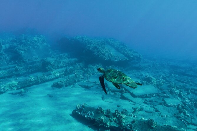 Maui Snorkeling Boat Tour to Turtle Town Aboard Quicksilver - A four-and-a-half-hour cruise built around Turtle Town