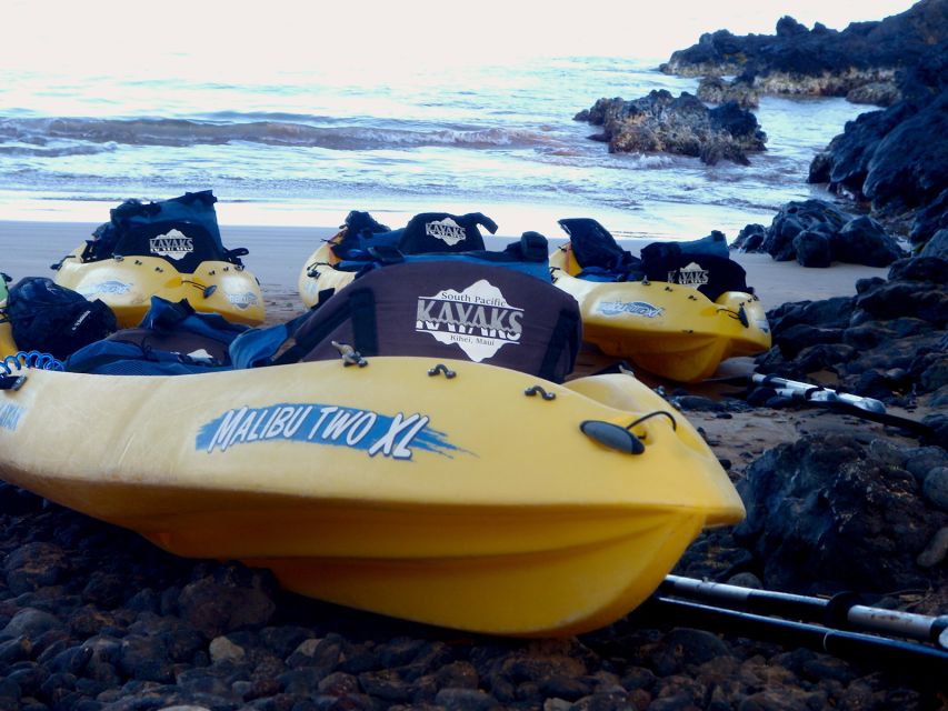 Maui: Turtle Town Kayak and Snorkel Tour - Whale season from late December to mid-April