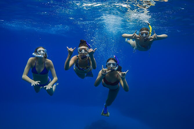 Maui: Turtle Town Snorkel with Photo and Video - One hour among turtles and reef life