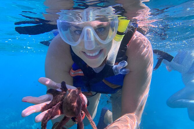 Maui: Turtle Town Snorkel with Photo and Video - Why the guides matter more than the name Turtle Town