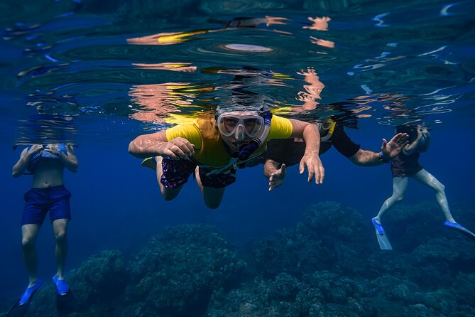 Maui: Turtle Town Snorkel with Photo and Video - Who should book this experience