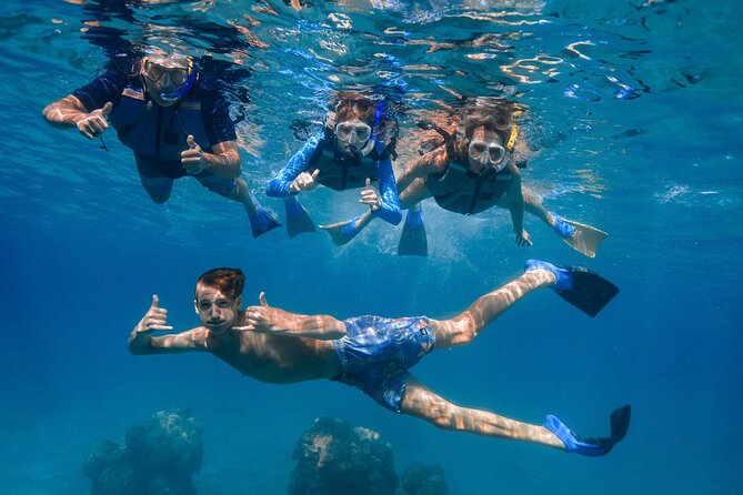 Maui: Turtle Town Snorkel with Photo and Video - Weather, location changes, and sensible planning