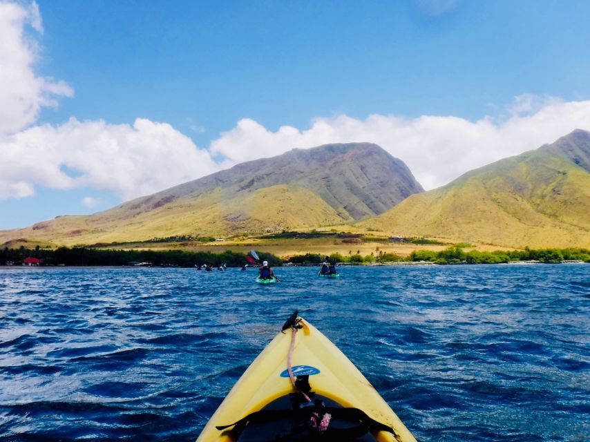 Maui: West Side Discovery Kayak & Snorkel from UKUMEHAME - Final call: Is the $120 worth it?