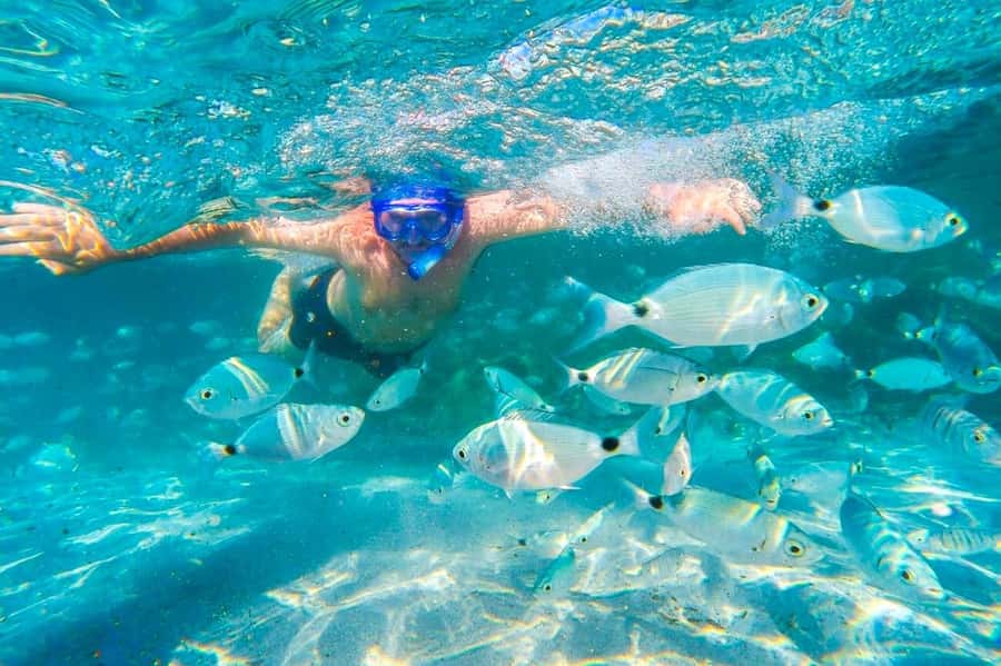Mauritius: 5 East Coast Islands Tour with Snorkeling & Lunch - Ile aux Fouquets and Ile de la Passe