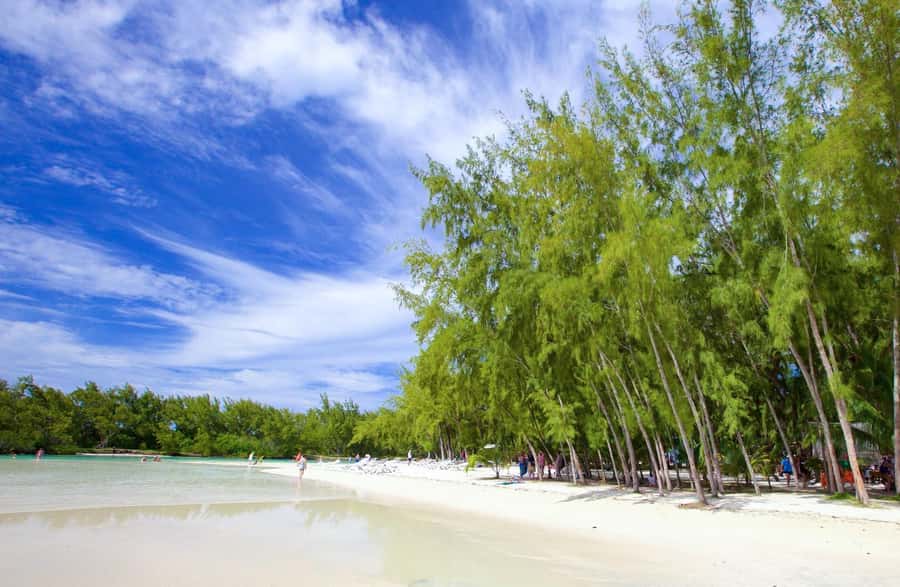 Mauritius: 5 East Coast Islands Tour with Snorkeling & Lunch - Eau Bleu, Ile aux Aigrettes, and time in the water