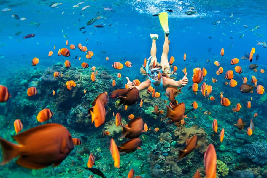 Mauritius: 5 East Coast Islands Tour with Snorkeling & Lunch - Ile aux Cerfs and the first look at the east coast