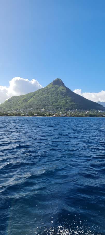 Mauritius: Snorkel and Swim with Dolphins on Speedboat Tour - How to set your expectations