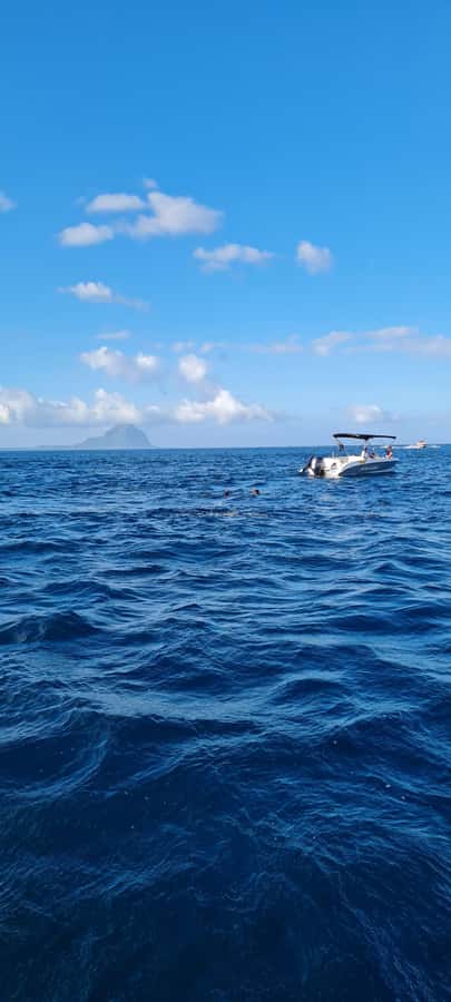 Mauritius: Snorkel and Swim with Dolphins on Speedboat Tour - Booking, cancellation, and practical notes