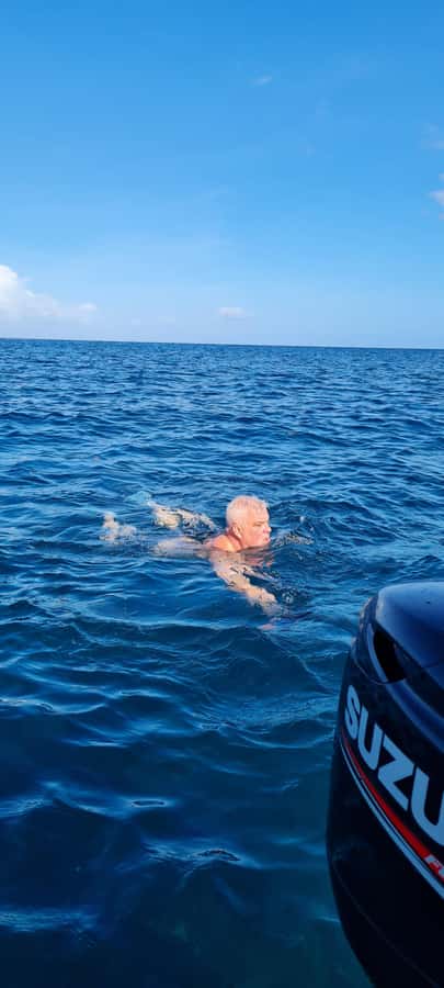 Mauritius: Snorkel and Swim with Dolphins on Speedboat Tour - Swimming, snorkeling, and the water itself