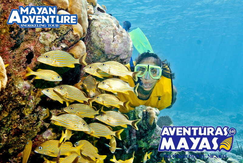 Mayan Adventure - 3 different snorkeling sites in one day! - The jungle river and Mayan cenotes