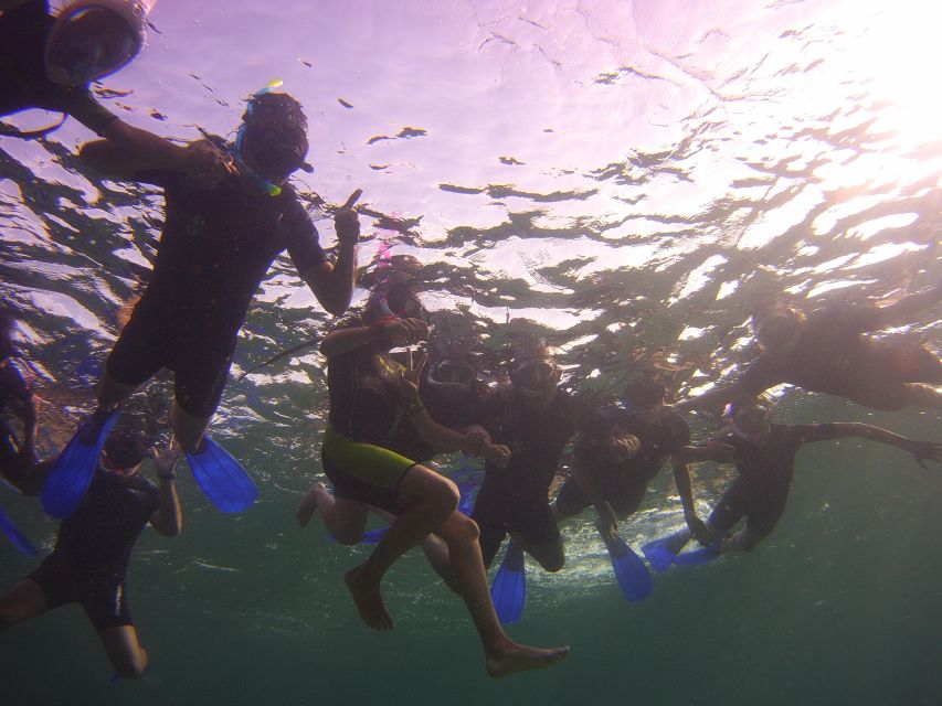 Menorca: Snorkeling Safari Tour - Who will enjoy this outing most
