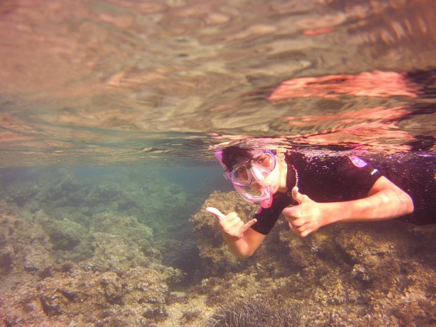 Menorca: Snorkeling Safari Tour - Languages, flexibility, and cancellation
