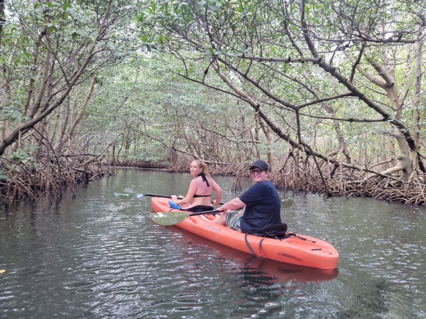 Miami: Beginner-Friendly Island Snorkeling by SUP or Kayak - Why the mangrove paddle makes this more than a snorkeling trip
