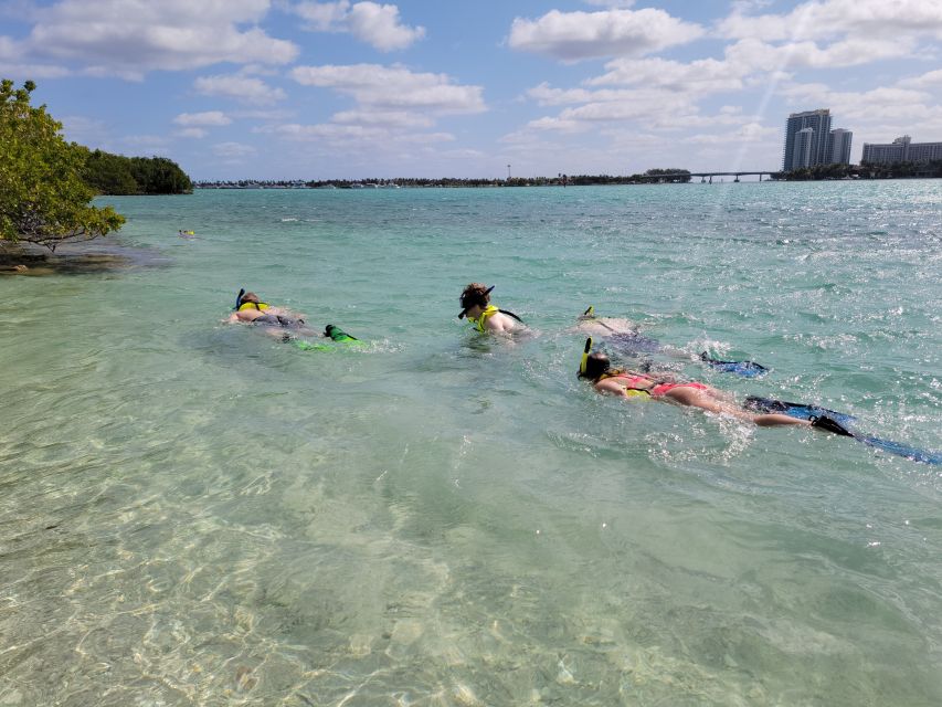 Miami: Beginner-Friendly Island Snorkeling by SUP or Kayak - Who should book this Miami water outing?