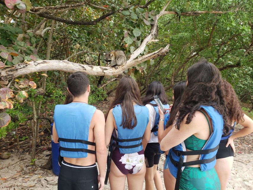 Miami: Beginner-Friendly Island Snorkeling by SUP or Kayak - Meeting the crew at Bill Baggs Marina