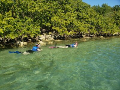 Beginner-Friendly Island Snorkeling by SUP or Kayak