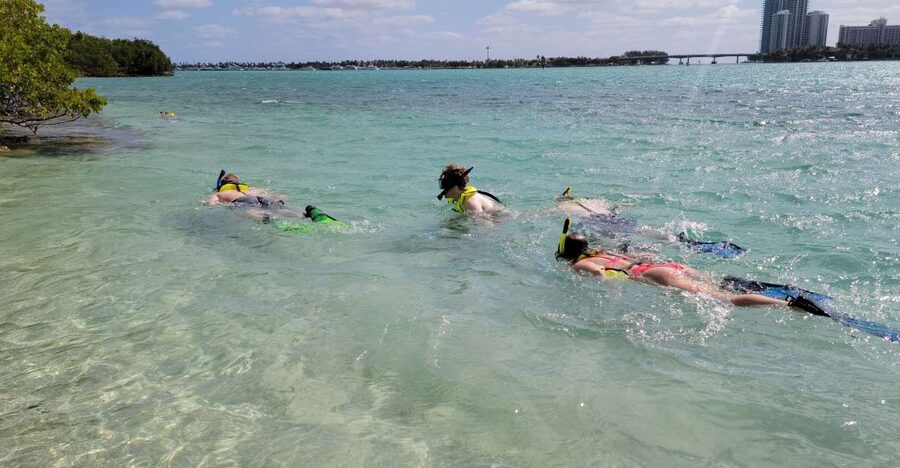 Miami: Beginner-Friendly Island Snorkeling by SUP or Kayak - What to bring for a smoother outing
