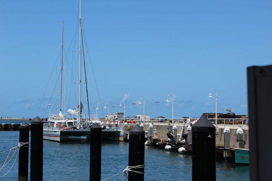 Miami: Key West Boat Tour w/ Optional Snorkeling & Open Bar - Booking details worth checking before you go