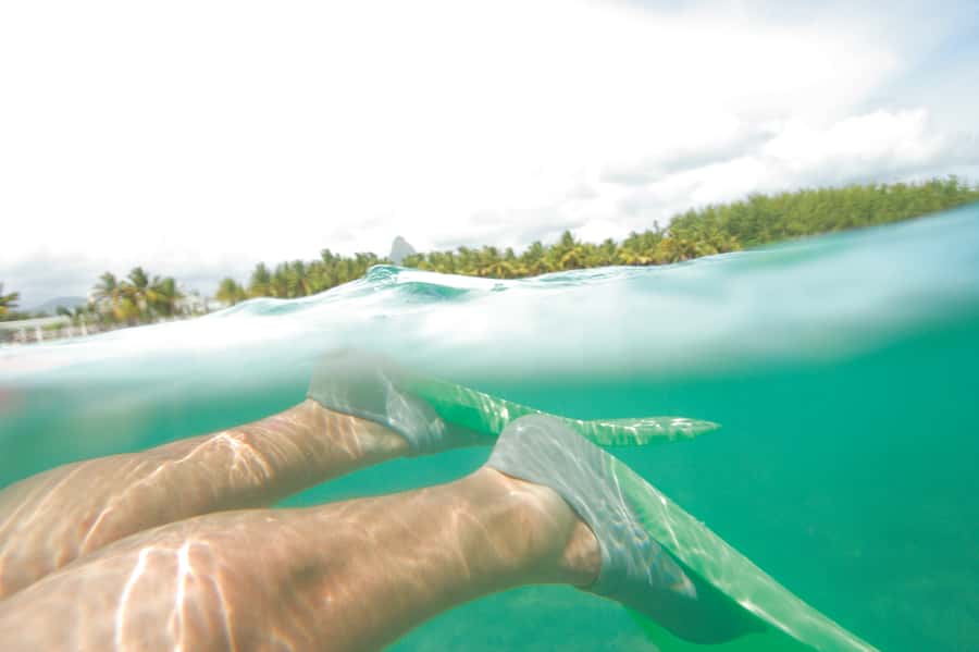 Miami: Key West Dolphin Watch or Snorkel Boat with pickup - Small details that make the day easier