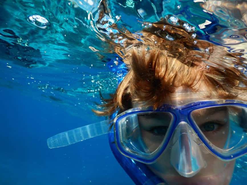 Miami Snorkeling for Beginners from Bayside Market Place - Key points to know before you book