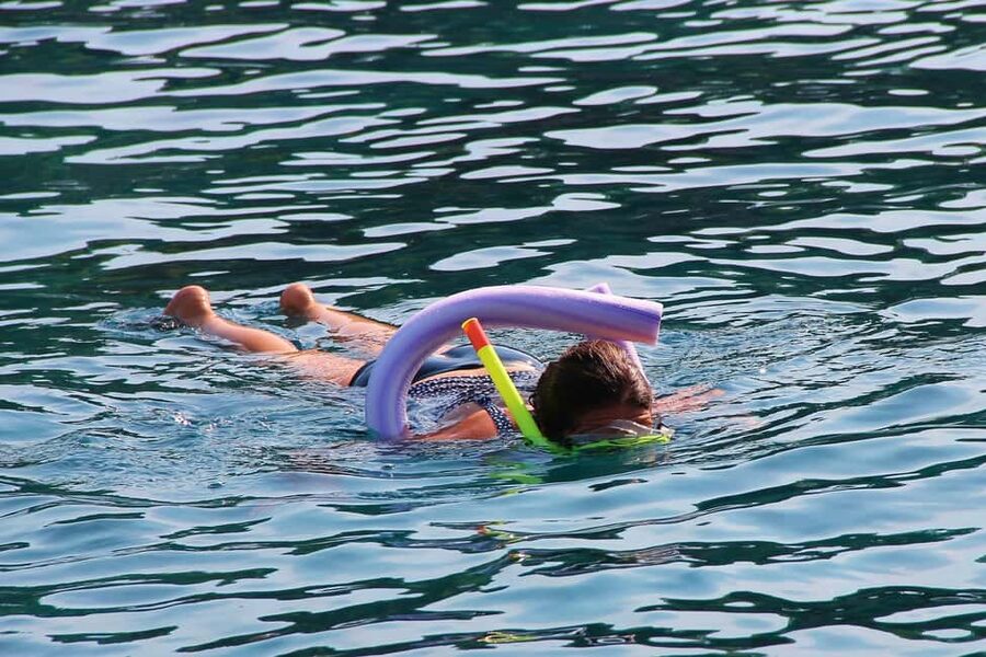 Miami Snorkeling for Beginners from Bayside Market Place - What this $35 Biscayne Bay trip is really like