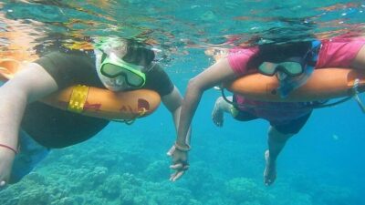Miami Snorkeling for Beginners from Bayside Market Place