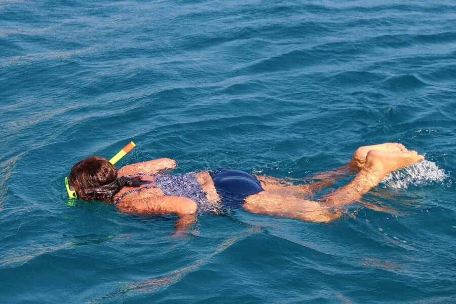Miami Snorkeling for Beginners from Bayside Market Place - Beginner snorkeling: useful, but largely self-guided