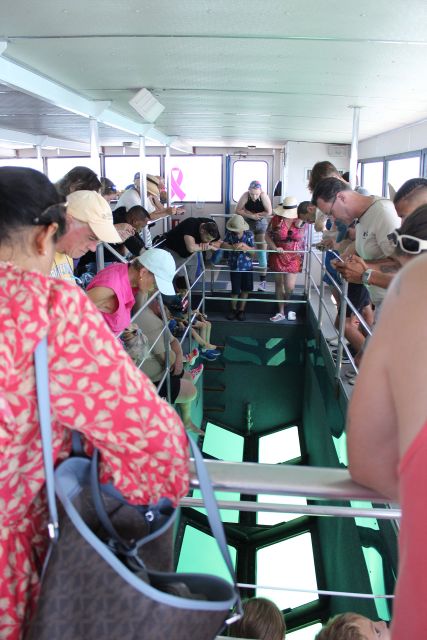 Miami to Key West Shuttle: Dolphin, Snorkeling & More - Who should book this Key West day trip?