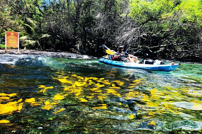 Midday Meander - Kealakekua Bay Kayak and Snorkel Adventure - Meeting at Kona Boys in Kealakekua