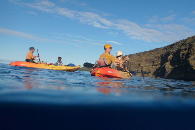 Midday Meander - Kealakekua Bay Kayak and Snorkel Adventure - Snorkeling along the Kaawaloa coast