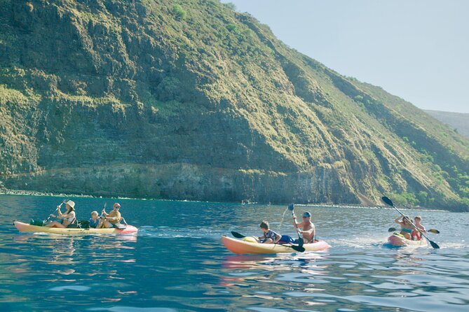 Midday Meander - Kealakekua Bay Kayak and Snorkel Adventure - What the $187.45 price includes