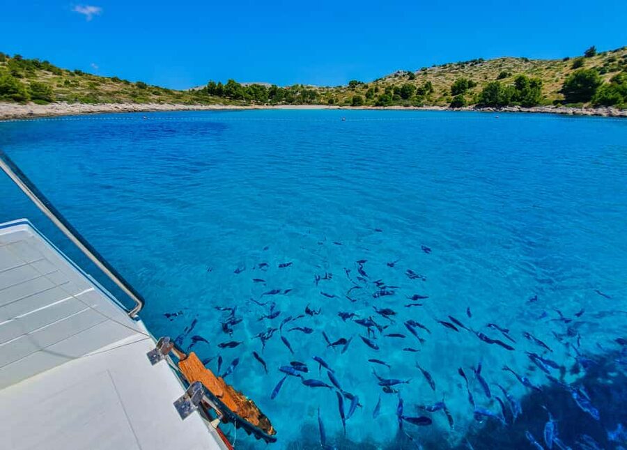 Mikado Kornati Excursion with snorkeling and hiking stops - Should you book the Mikado Kornati excursion?