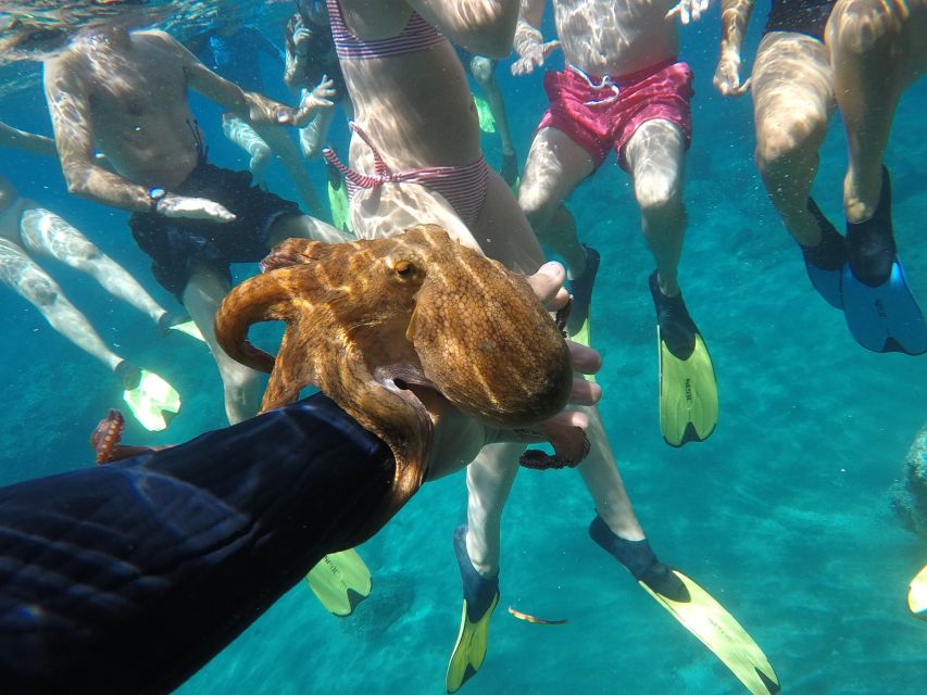 Milos: Half-Day Speedboat Cruise to Klefiko with Snorkeling - The south-coast alternative in strong north winds
