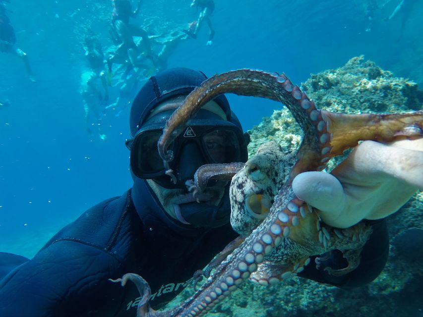 Milos: Half-Day Speedboat Cruise to Klefiko with Snorkeling - Kleftiko: the main event