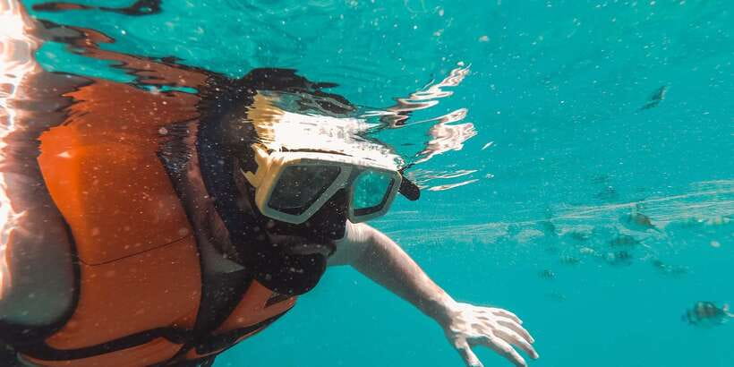 Mirissa: Snorkeling Experience with Turtles - The first minutes in the water