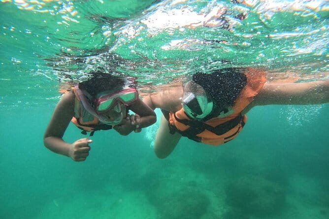 Mirissa Unforgettable Snorkeling Experience with Turtles - Swimming with turtles off Mirissa