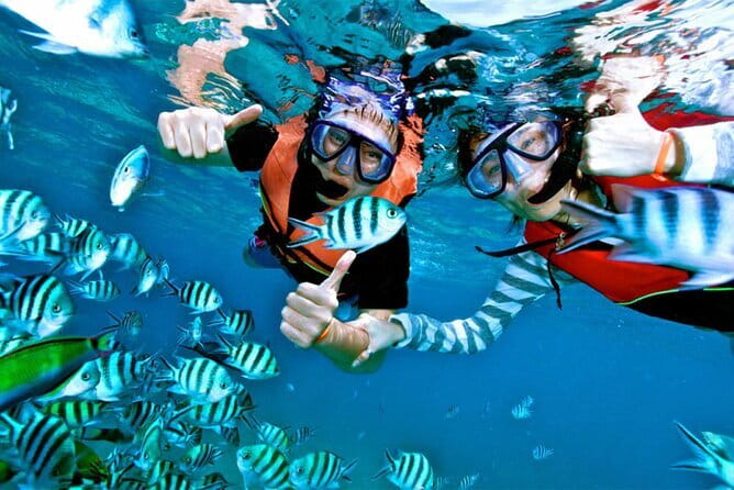 Mirissa Unforgettable Snorkeling Experience with Turtles - The value of a $24 private trip