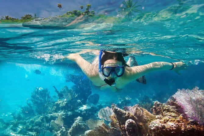 Mirissa Unforgettable Snorkeling Experience with Turtles - What the beach setting adds