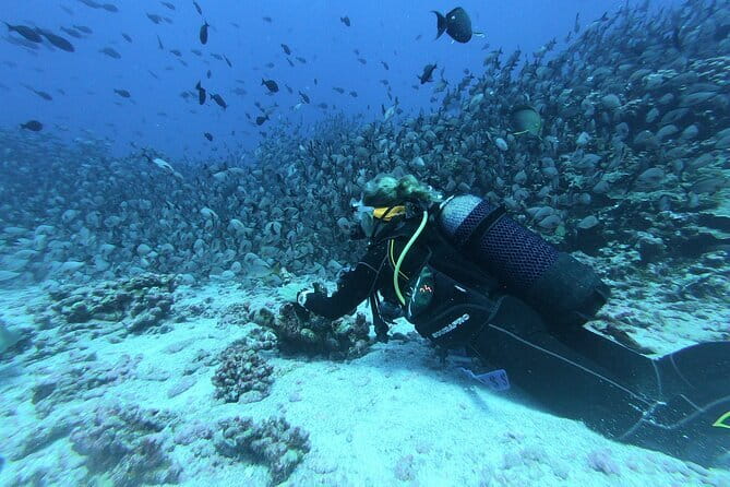 Mirissa Unforgettable Snorkeling Experience with Turtles - Timing, comfort, and small practical details