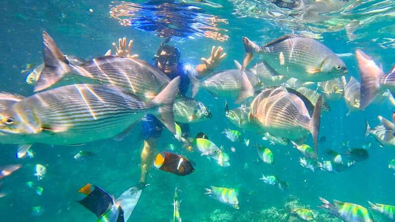 Mismaloya: Snorkeling, Cliff Jumping, and Beach Tour - The boat ride from Mismaloya