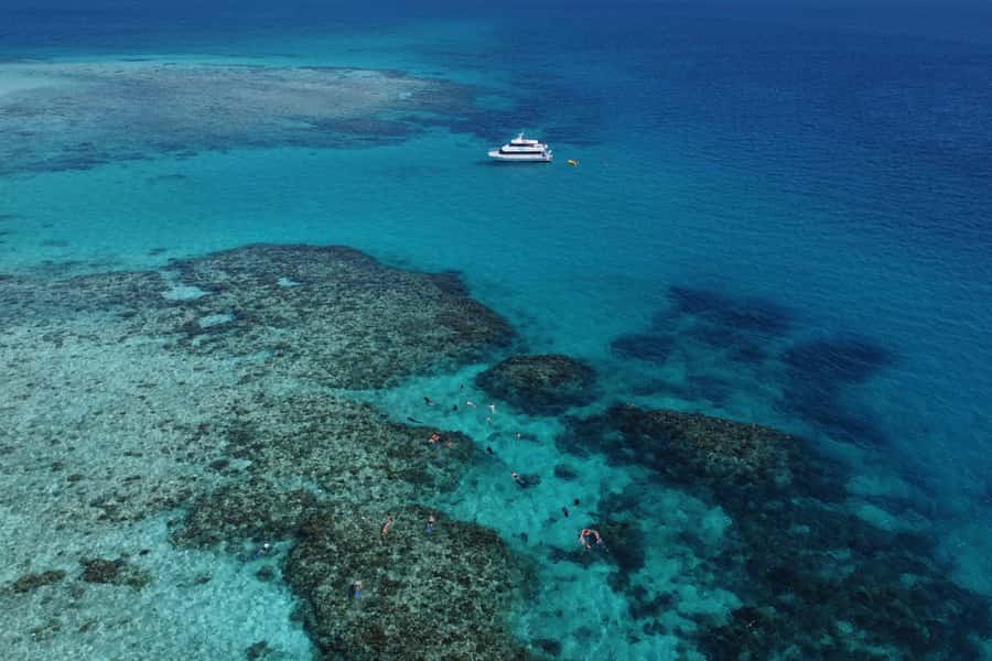 Mission Beach: Outer Great Barrier Reef & Dunk Island Tour - Why Beaver Reef makes this Mission Beach trip different
