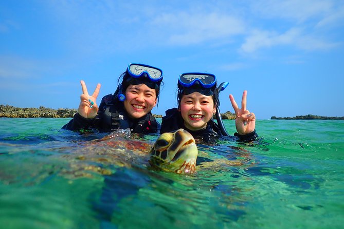[Miyako Island/Half Day] Sea Turtle Snorkeling - What you may see beneath the surface