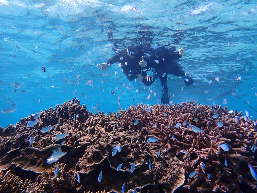Miyako island: Pumpkin Limestone Caving & Snorkeling - Practical planning for the day