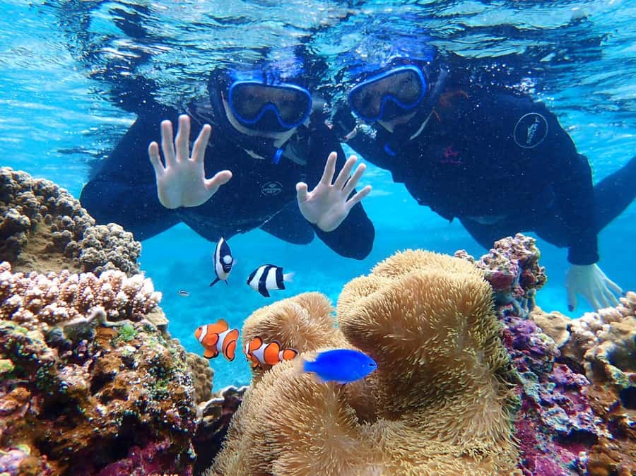 Miyako island: Pumpkin Limestone Caving & Snorkeling - Photography rules are important