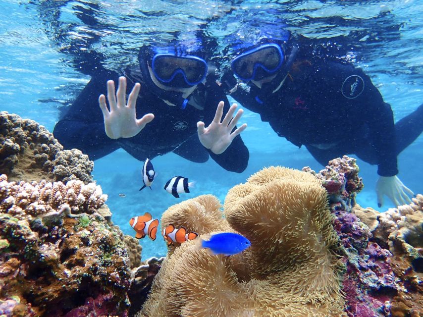 Miyako Island: SUP or Canoeing and Snorkeling Experience - Practical preparation for the water